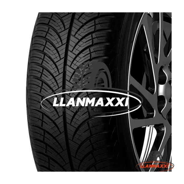 LLANTAS 225/65 R17 X-SPIDER A/S 106H XL ZMAX - Imagen 2